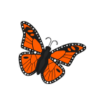 Бабочка &#8212; символ лета. Срок действия: 5 дней